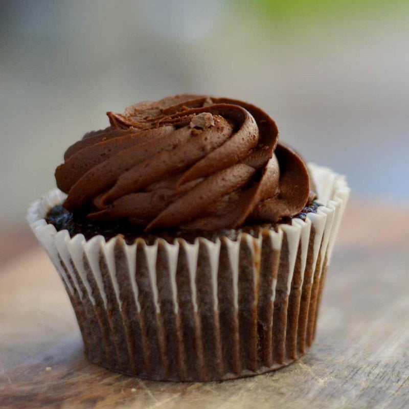 Chocolate Cupcake