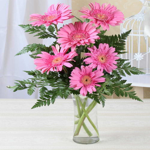 Six Pink Gerberas Bouquet