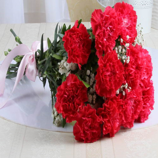 One Dozen Pink Carnation