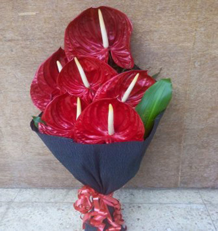 anthurium bouquet in bangalore 6 Anthurium Bouquet – Flowersacrossindia.com