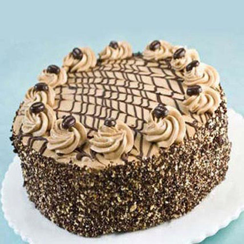 Round Shape Choco Coffee Cake