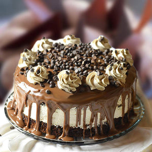 Special Appetizing Choco Chip Cake