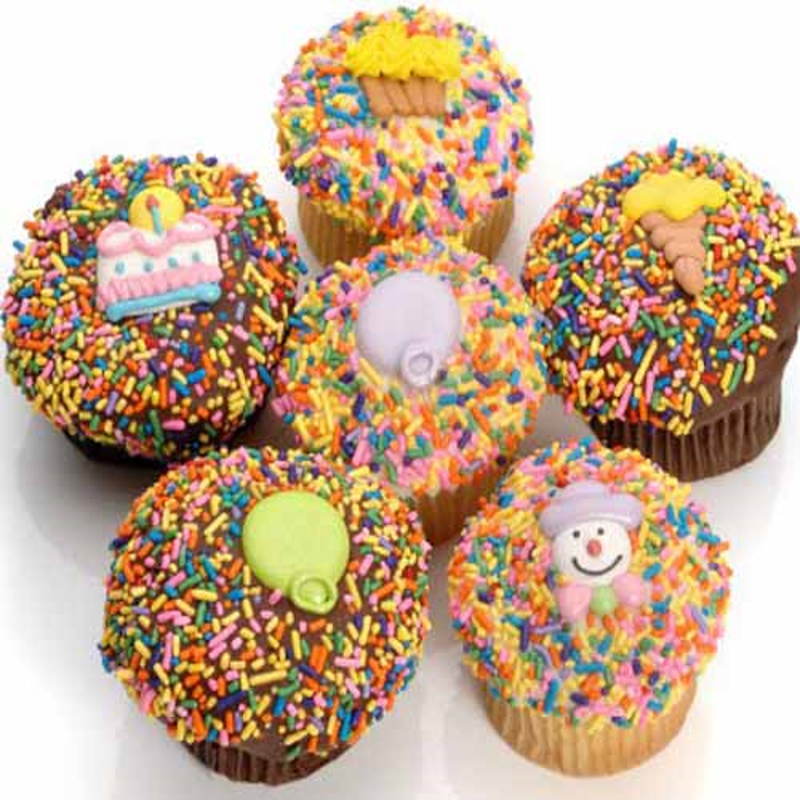 Sprinkle Birthday Theme Cupcakes