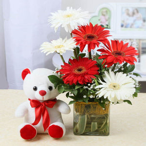 Six Gerberas in a Glass Vase and White Teddy Bear Combo