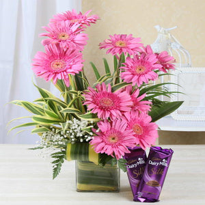 Ten Pink Gerberas Vase with Cadbury Silk Chocolate
