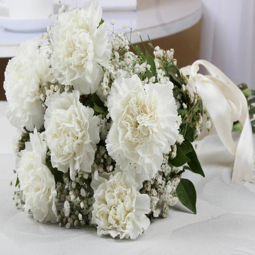 Six White Carnations Lovely Bunch