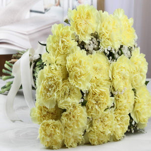 Twenty Yellow Carnations Same Day Delivery