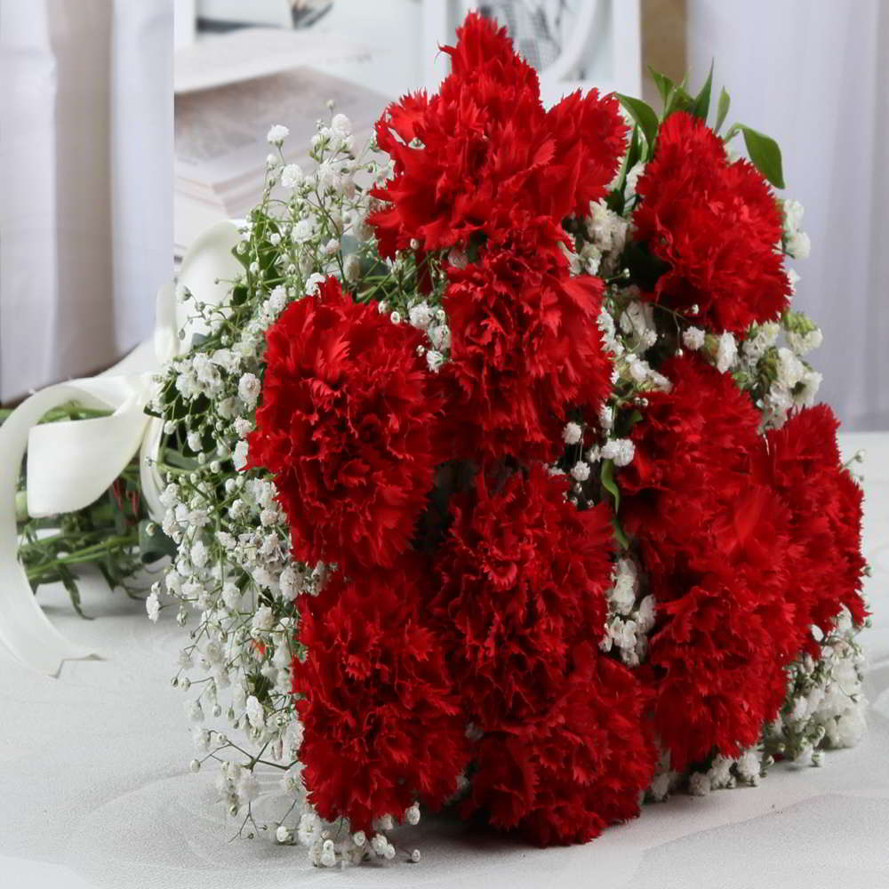 Red Carnations Hand Bouquet