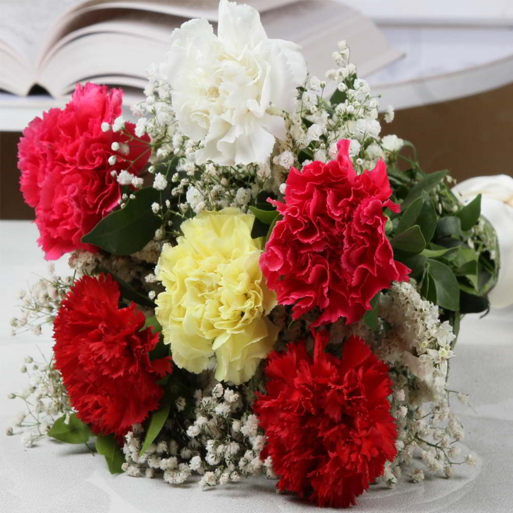Soothing Colorful Carnations