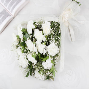 Adorable White Carnations