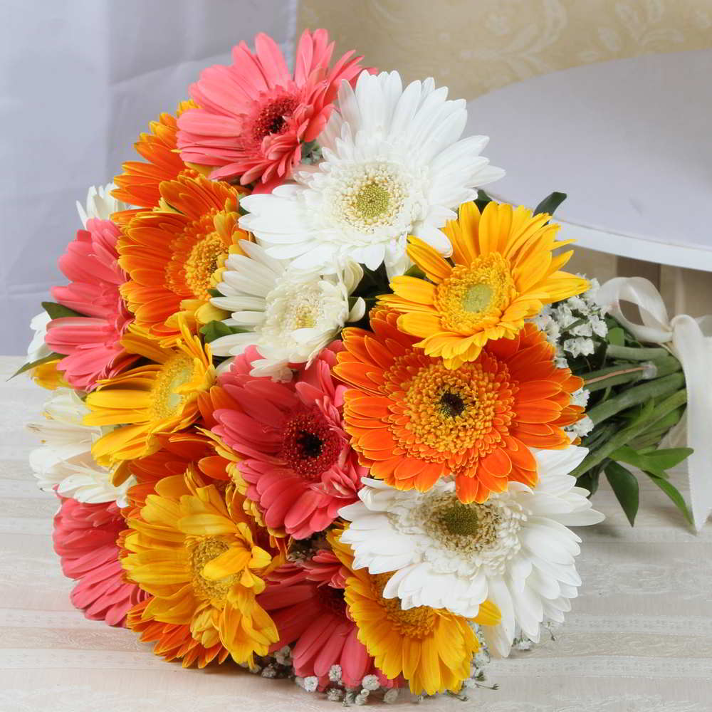 Colorful Gerberas Bunch