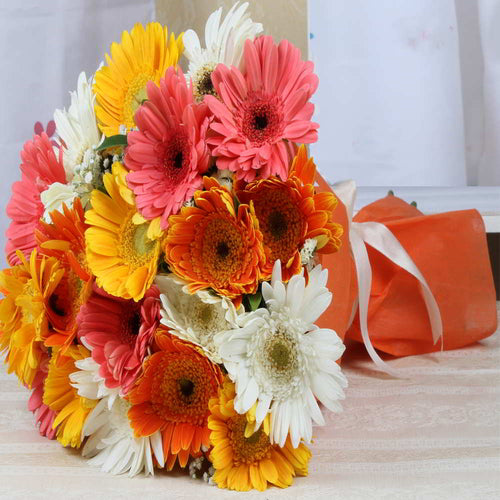 Bunch of Gerberas in a Tissue Wrapping