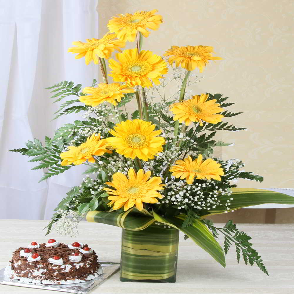 Black Forest Cake with Yellow Gerberas Arrangement
