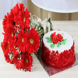 Red Gerberas Bouquet with Red Velvet Cake