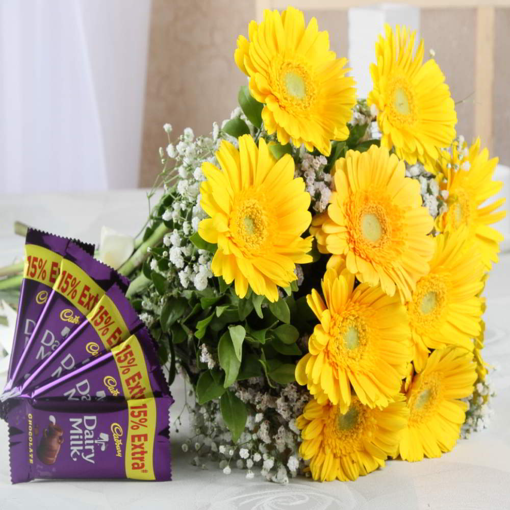 Bouquet of Yellow Gerberas with Dairy milk chocolates