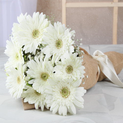 Bouquet of Ten White Gerberas