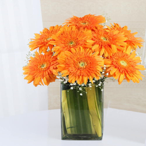 Arrangement of Eight Orange Gerberas in a Glass Vase