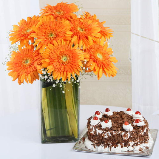 Arrangement of Orange Gerberas in Vase with Black Forest Cake