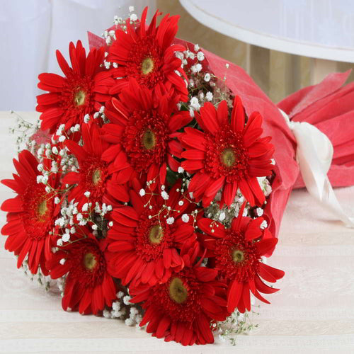 Ten Attractive Red Gerberas