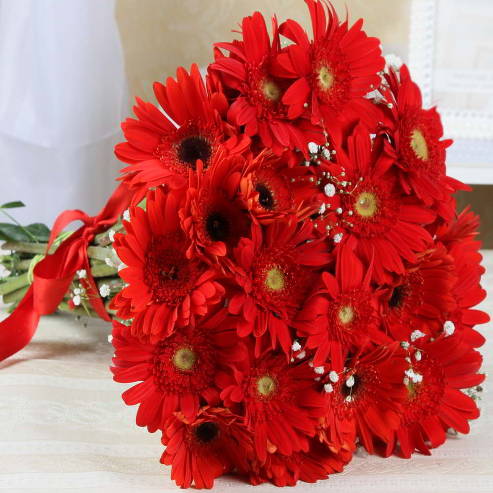 Adorable Twenty Red Gerberas Bouquet