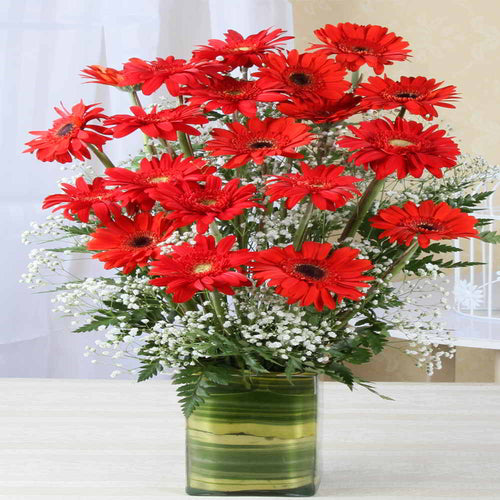 Red Gerberas in Glass Vase