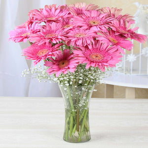 Twenty Pink Gerberas in Glass Vase