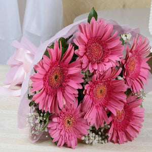 Six Charming Pink Gerberas Bouquet Express Delivery