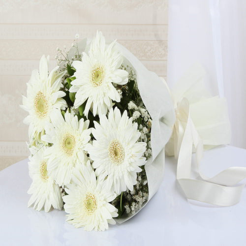 Tissue of Six White Gerberas