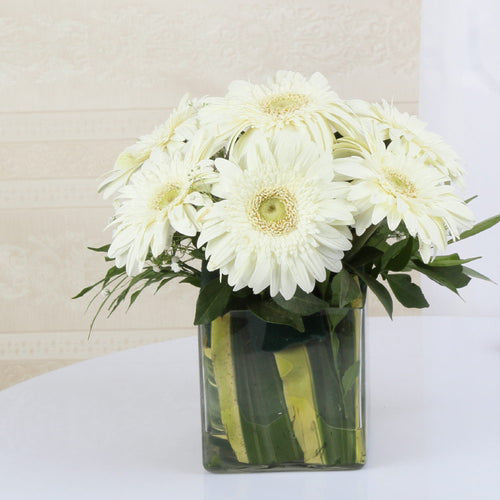 Ten White Gerberas in a Vase