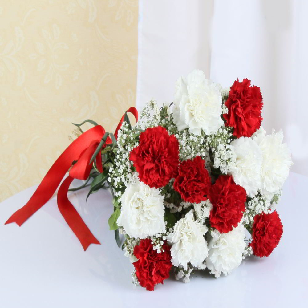 One Dozen of Mix Carnation Bouquet