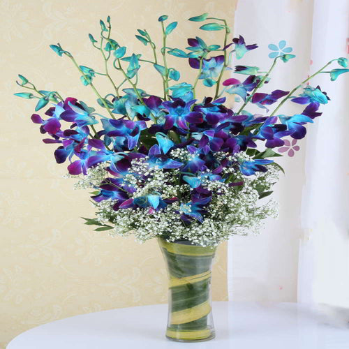 Vase of Ten Blue Orchids