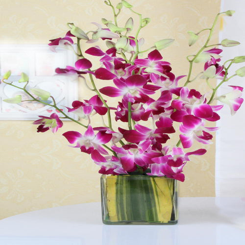 Vase Arrangement of Purple Orchids