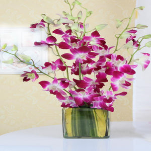 Vase Arrangement of Purple Orchids