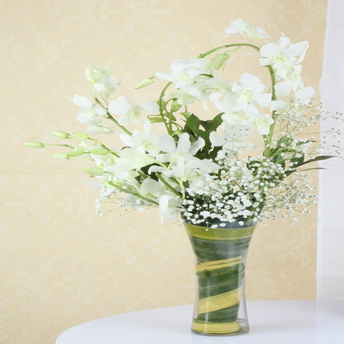 Vase Arrangement of White Orchids