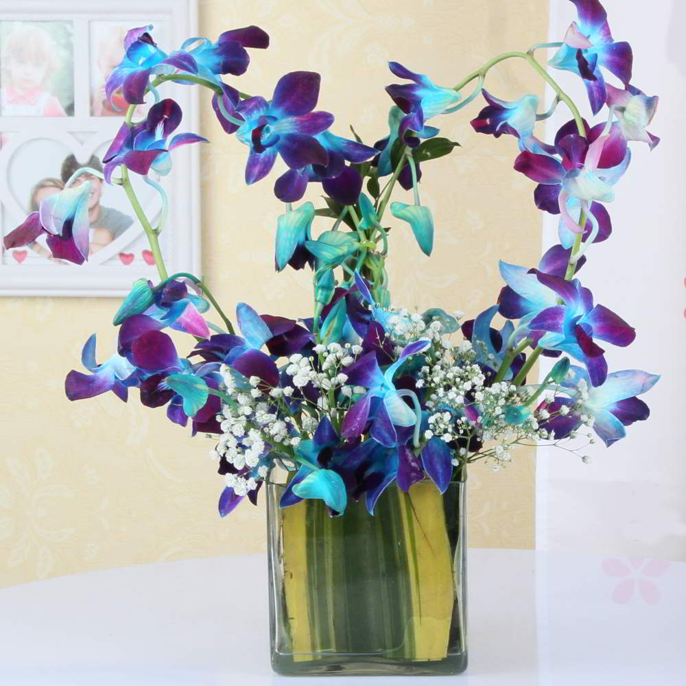 Designer Blue Orchids Arrangement