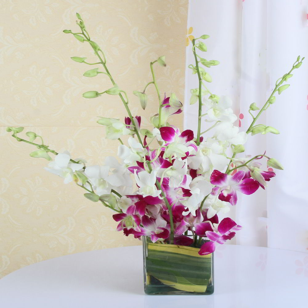 Vase of Mix Orchids