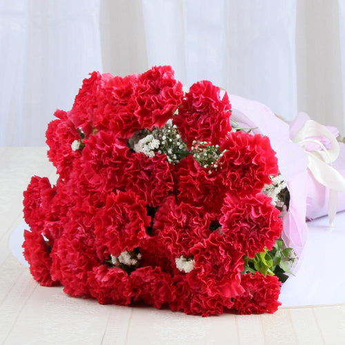 Red Carnation Tissue Wrapped Bouquet