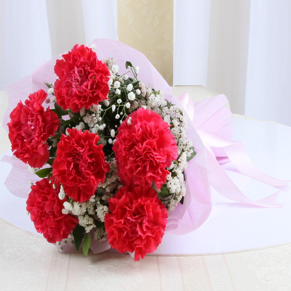 Six Pink Carnation