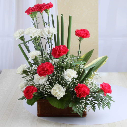Twin Color Carnation Arrangement