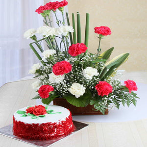 Red Velvet Cake with Twin Color Carnation Arrangement