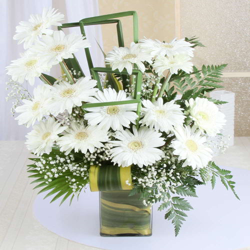 Vase of White Gerberas