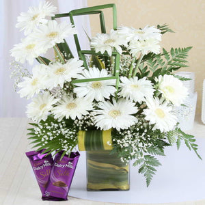 Cadbury Silk Chocolate with Vase of White Gerberas