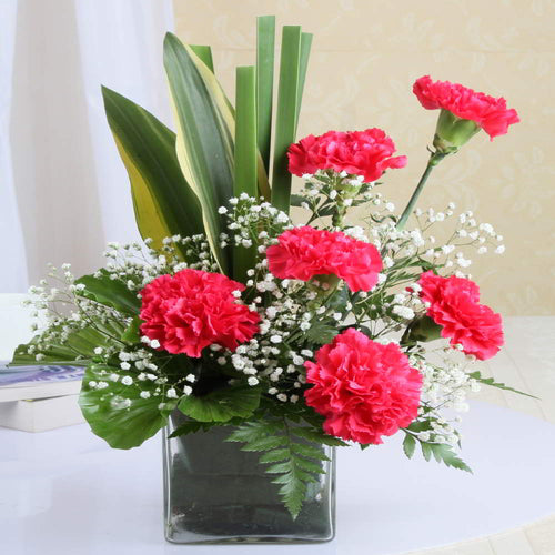 Six Pink Carnation in Vase