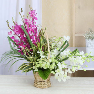 Charming Arrangement of Orchids