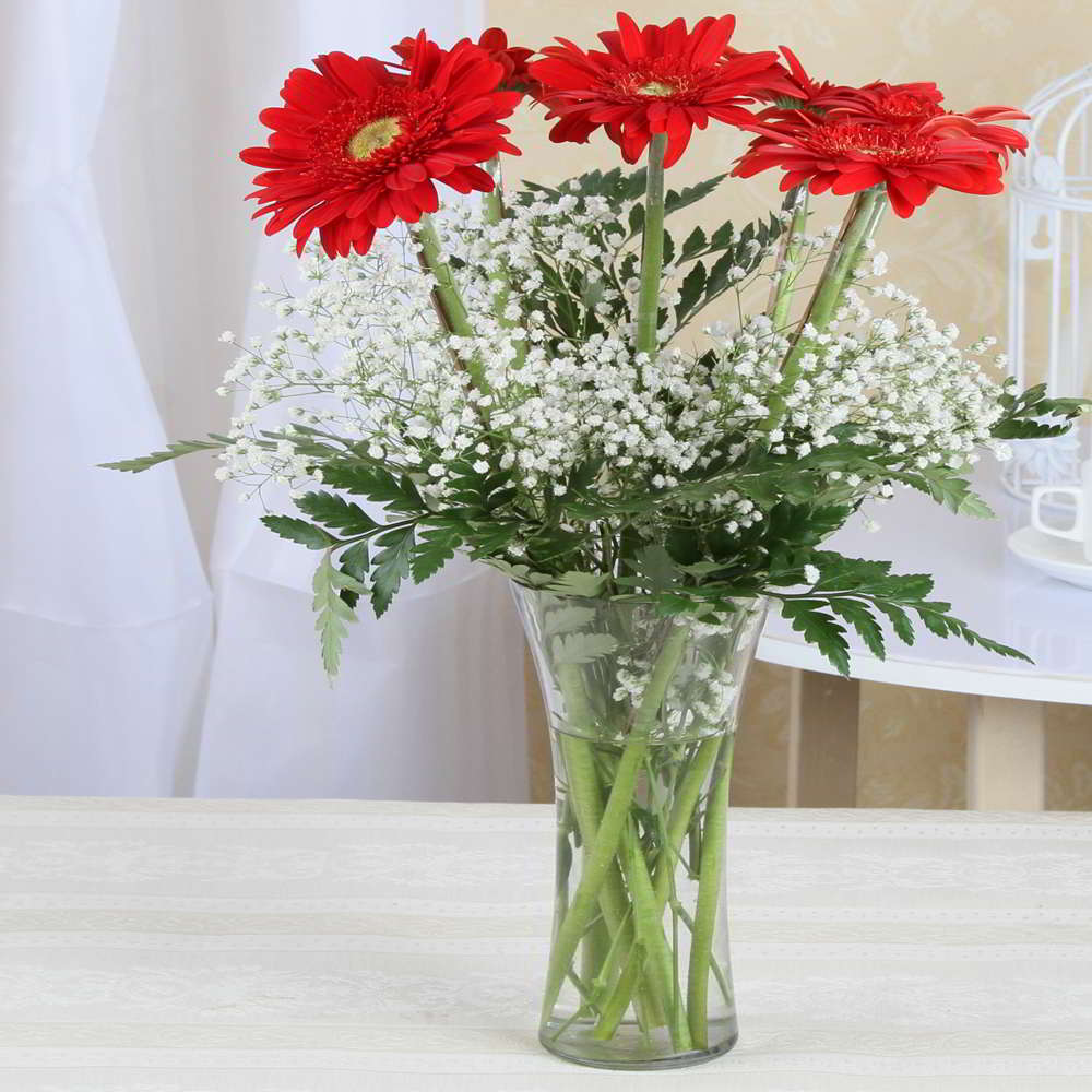 Vase of 6 Red Gerberas