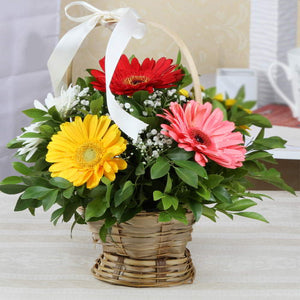 Gerberas Basket Arrangement for Express Delivery