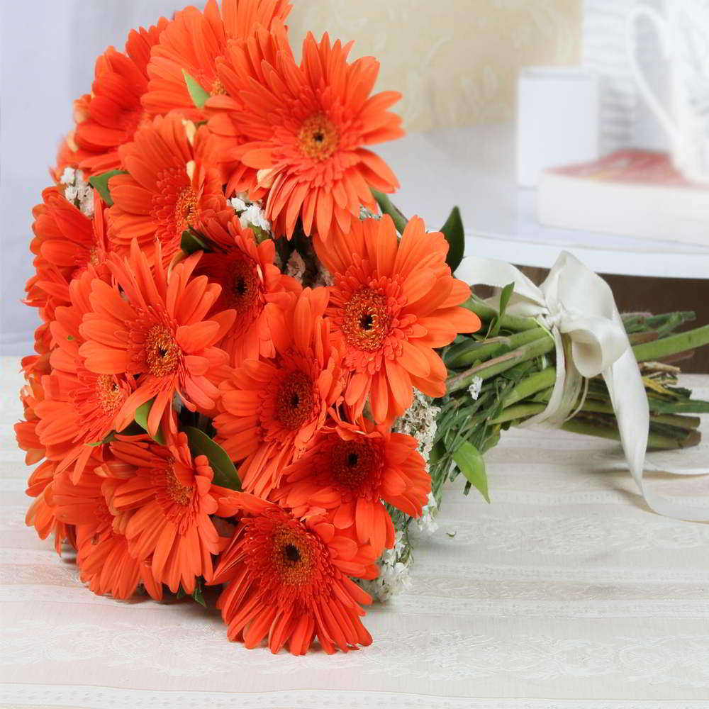 Dazzling Orange Gerberas Online Delivery