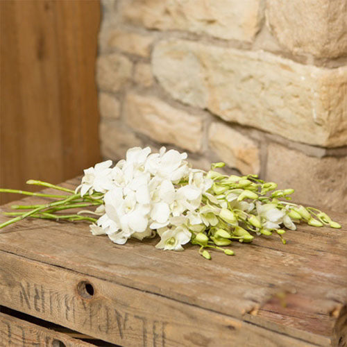 Stunning White Orchids Bouquet