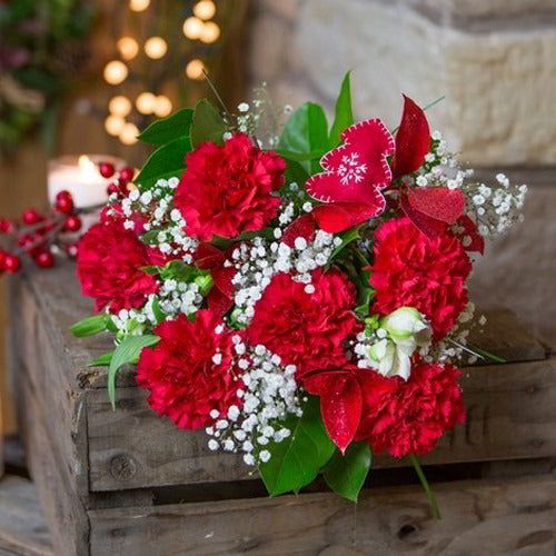 Bouquet of Red Carnations