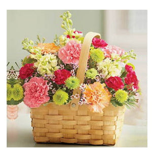 Rainbow Carnation Basket